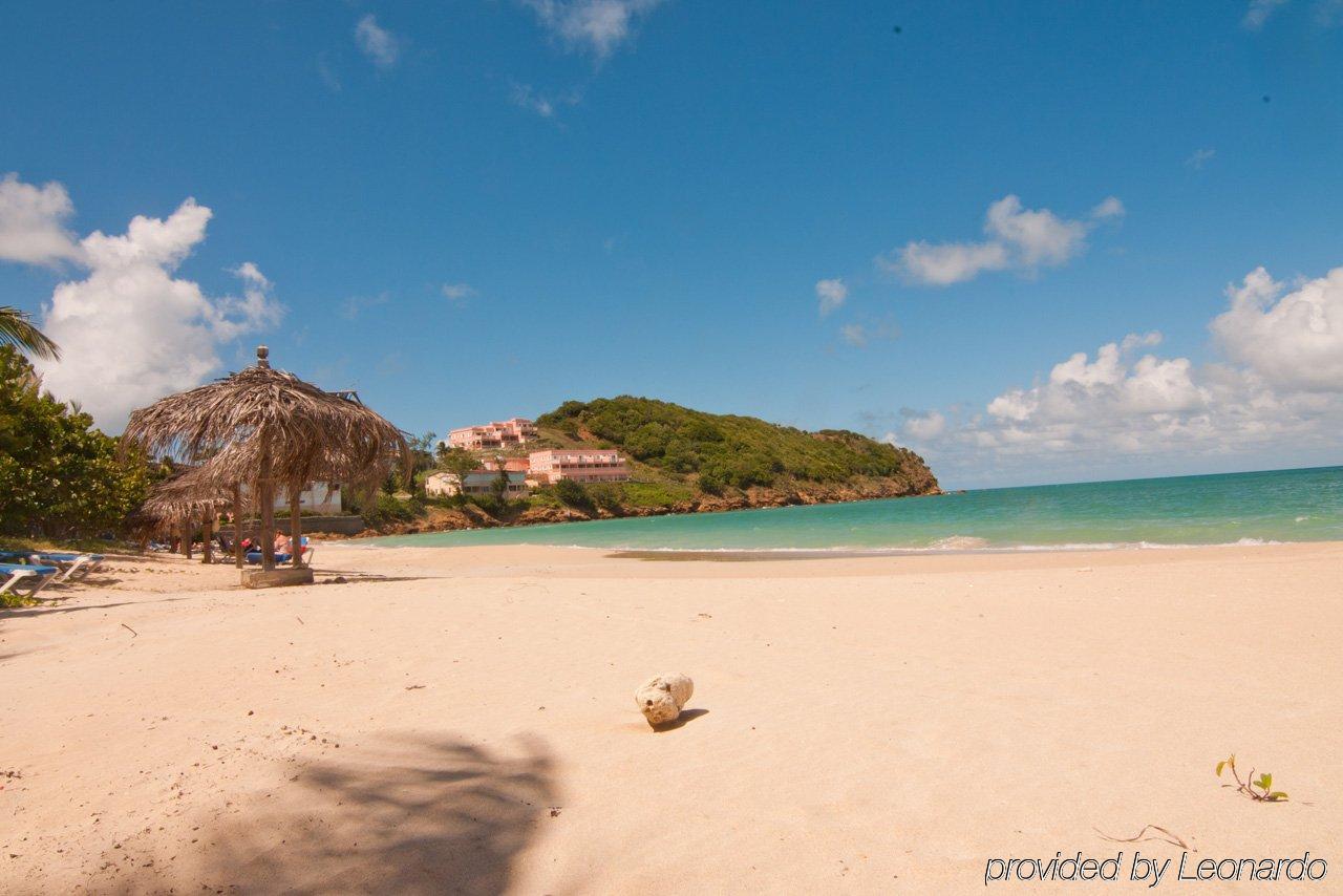 Coconut Beach Club Resort St. John's Tiện nghi bức ảnh